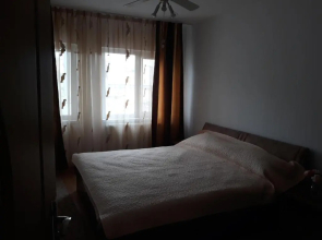 Nicolae Romanescu Park