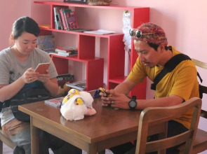 Puffin Suites & Rooms