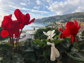 Appartamenti La Pineta