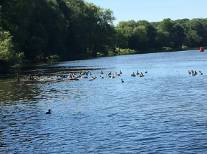 Apartment Lazoroski Arcen