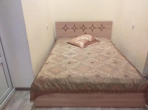 Home in Borjomi