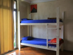 Mad Vervet Hostel - Addis