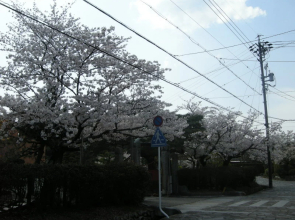 Yachiyo Kappou & Ryokan