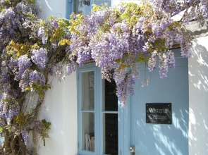 Croyde Wisteria Cottage