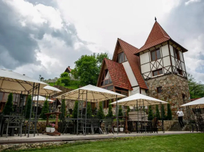 Hotel Alpine Castle