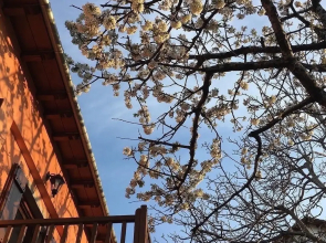 Kalderimi Country House