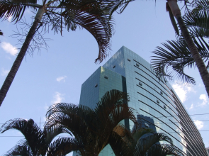 Hplus Vision Executive