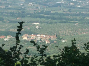 Podere Calistri