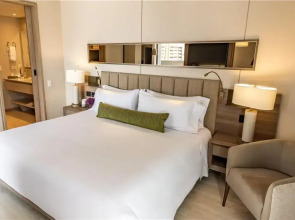 York Medellin, Curio Collection by Hilton