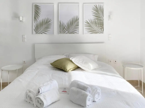 Palm Suite Green