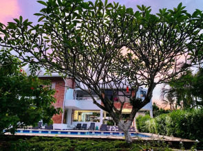 Hotel Casa De Las Flores