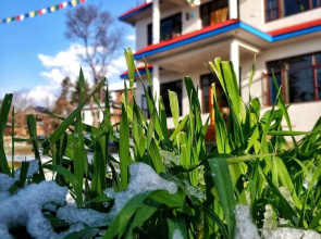 The Bunker Hostel - Dharamkot