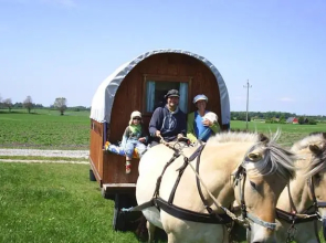 Samsø Horse Wagons