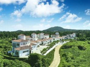 Paradise Hotel Jeju