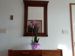 Holiday house Villa Marija - terrace Trsteno, Riviera Dubrovnik