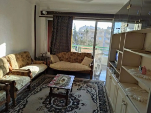 شاطئ النخيل