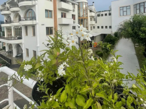 Misk Resort Hotel