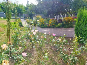 Flora Anaklia *