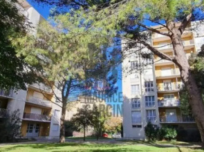 Avignon / Grand studio de 37m2 + terasse ceinture verte