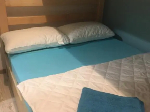 Comfortable Flat in Central Tbilisi