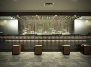 Hot Spring OSAKA HINODE HOTEL NIPPONBASHI