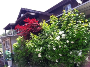 gapyeong paranhaneulbic