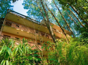 Bandipur Mountain Resort