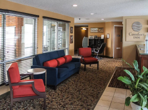 Comfort Inn at the Zoo