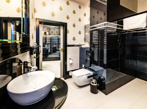 Hotel Dana Business & Conference