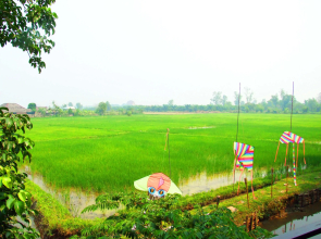 Mingalarpar Resort(มิงกาลาบา รีสอร์ท)