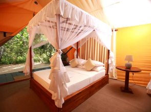 Yala safari and Relax camping