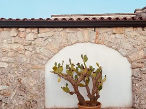 Vigna Vecchia
