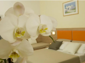 Hotel Consuelo