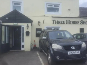 Three horse shoes