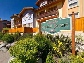 Crystal Forest #68 By Bear Country