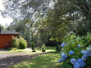 Woodland Spruce Lodge