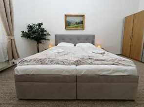 Apartment in Jiriho z Podebrad