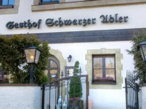 Schwarzer Adler