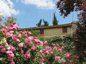 Agriturismo Il Borghetto