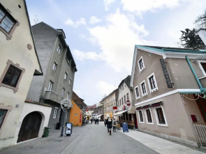Apartment Frenki