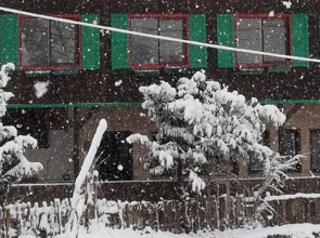 Yeşil düş vadisi
