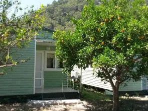 Sakli Bahce