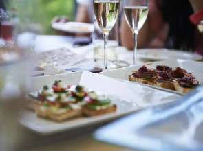 Southern Sun O.R Tambo