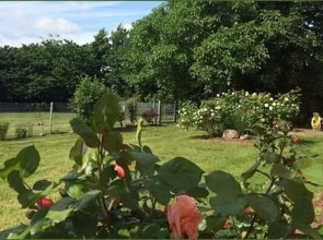 Apartments Friesenglück