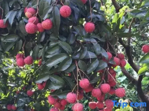Guangzhou Shimen Valley Secret B&B