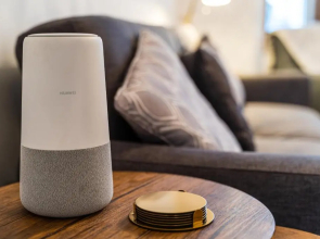 The Salisbury I Self-contained Large Executive House with Great Living Space & Courtyard