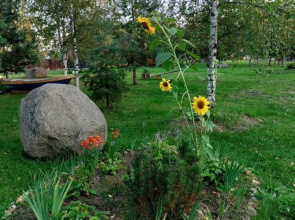 Holiday cottages on Seliger
