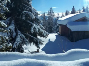 Apartment Bruneck Central