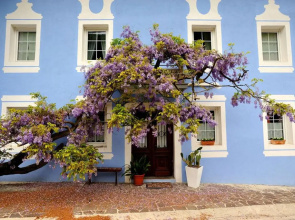 The Blue House