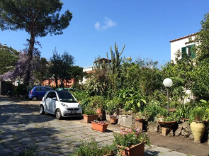 Le Ginestre